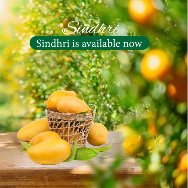 Sindhri Mango (سندھڑی آم)
