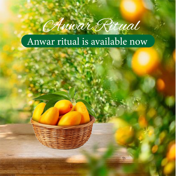 Anwar Ritual (انور رٹول آم)